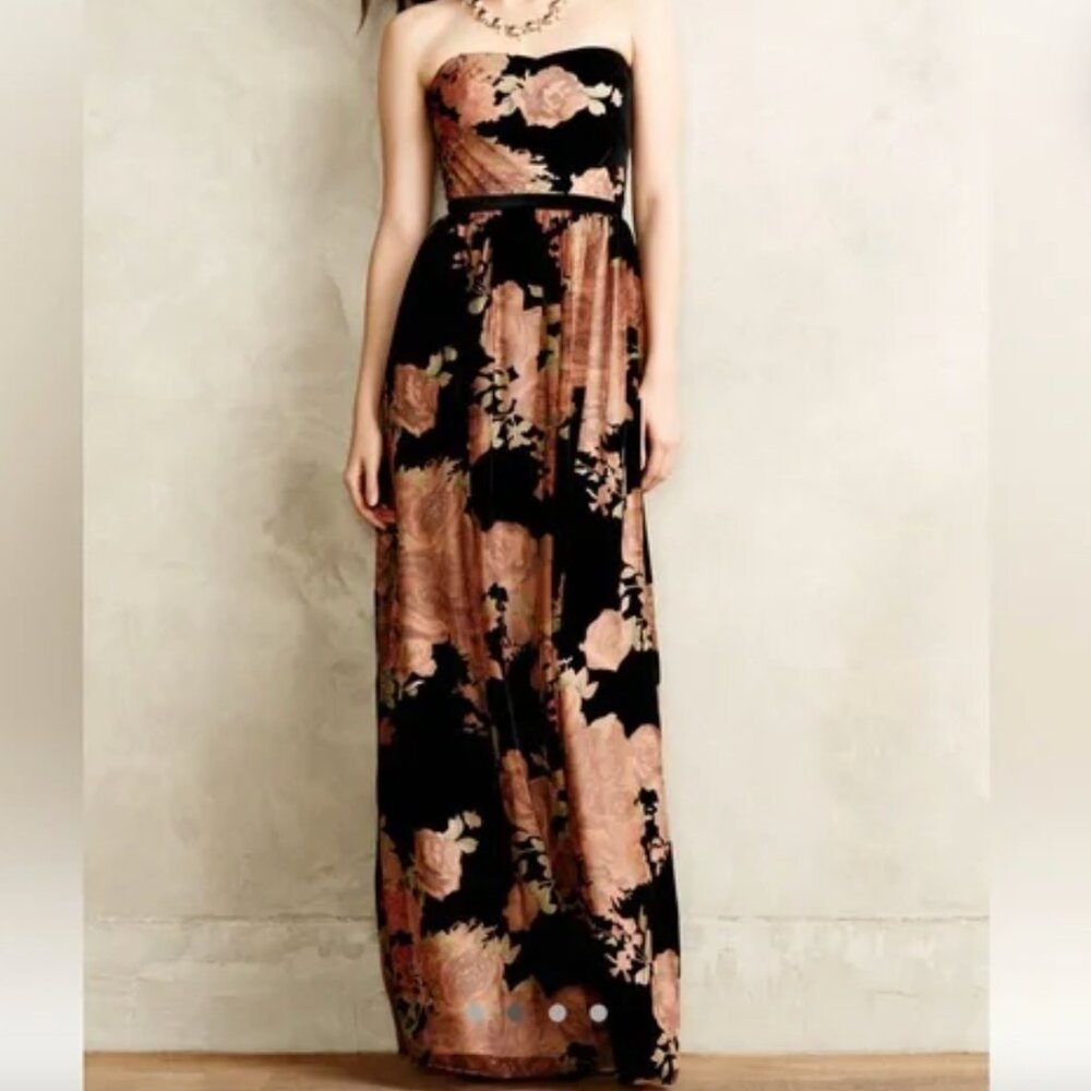 Anthropologie Erin Fetherston Rosalind Velvet Burnout Gown
